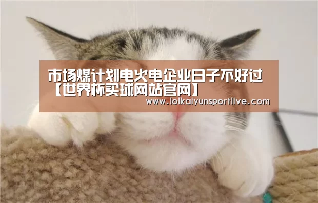市场煤计划电火电企业日子不好过【世界杯买球网站官网】(图2) 世界杯买球网站官网