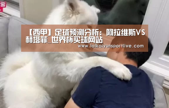 【西甲】足球预测分析:阿拉维斯VS赫塔菲_世界杯买球网站(图2) 世界杯买球网站官网