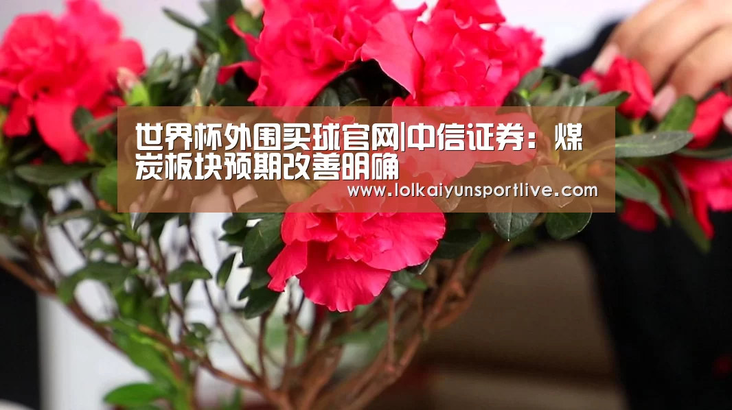 世界杯外围买球官网|中信证券:煤炭板块预期改善明确(图4) 世界杯买球网站官网
