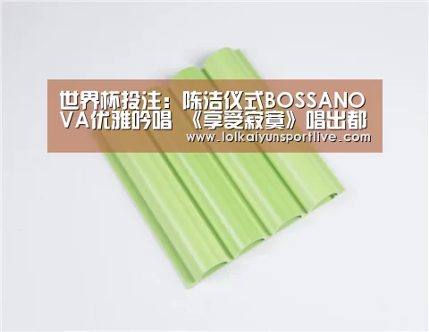 世界杯买球网站